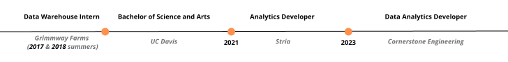 experience-timeline